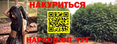 гашик Краснознаменск
